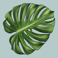 Monstera Leaf Heavy Core Tee | Teevron