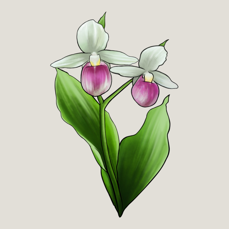 Pink And White Lady's Slipper Flower Illustrations Heavy Core Tee by LillyAllenDesigns | Teevron