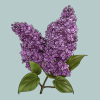Purple Lilac Flower Illustrations Heavy Core Tee | Teevron
