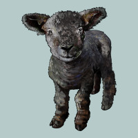 Southdown Baby Sheep Heavy Core Tee | Teevron