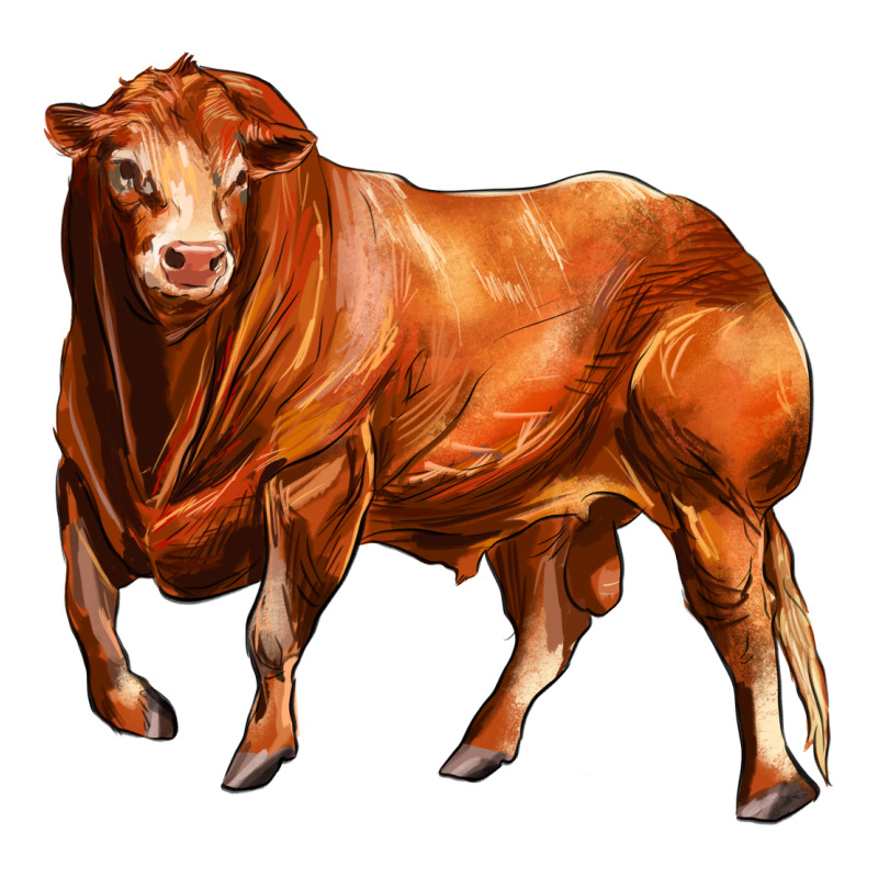 Red Angus Bull Premium Tee by LillyAllenDesigns | Teevron