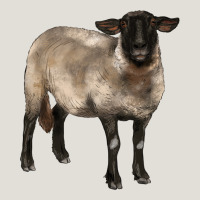 Suffolk Ewe Heavy Core Tee | Teevron