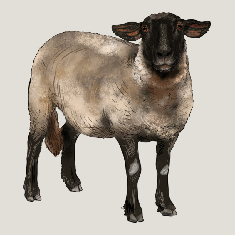 Suffolk Ewe Heavy Core Tee by BarkalooDesign | Teevron