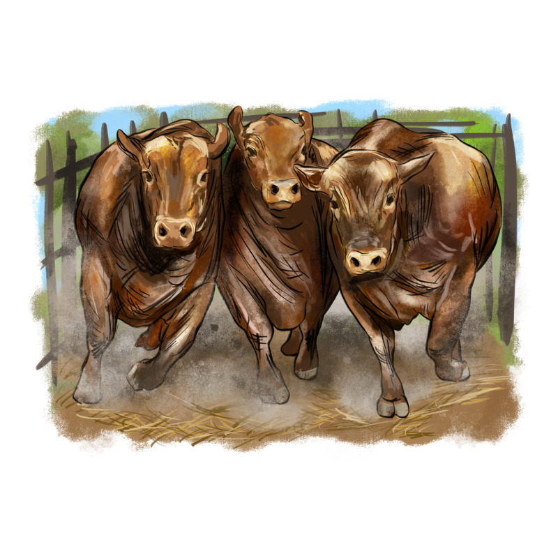 3 Red Angus Bulls Premium Tee by LillyAllenDesigns | Teevron