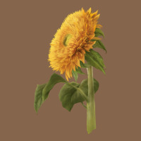Teddy Bear Sunflower Premium Tee | Teevron