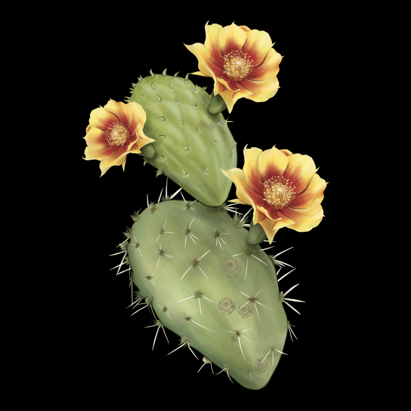 Opuntia Phaeacantha Premium Tee by LillyAllenDesigns | Teevron