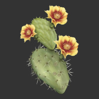 opuntia phaeacantha | Teevron