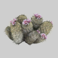 Cob Beehive Cactus Premium Tee | Teevron