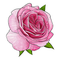 all dressed up rose | Teevron