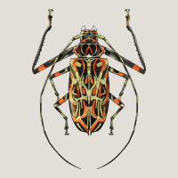 Acrocinus Beetle Illustrations Heavy Core Tee | Teevron