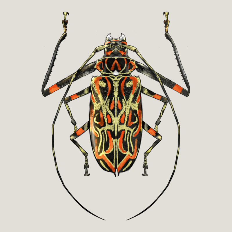 Acrocinus Beetle Illustrations Heavy Core Tee by LillyAllenDesigns | Teevron