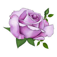 life's little pleasures rose | Teevron