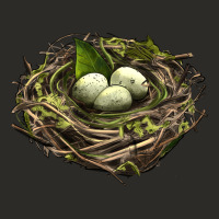Bird Nest With Eggs Heavy Core Tee | Teevron
