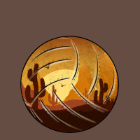 Desert Cactus Sunset Volleyball Long Sleeve Tee | Teevron