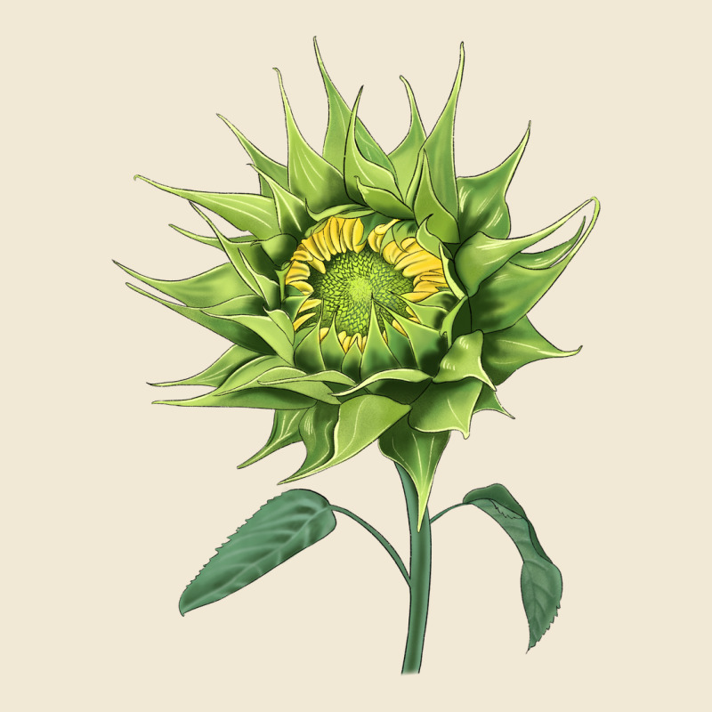 Sun Fill Green Green Sunflower Premium Tee by LillyAllenDesigns | Teevron