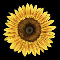Giganteus Sunflower Premium Tee | Teevron