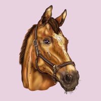 Horse Ladies Tee | Teevron