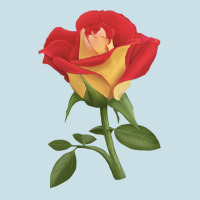 Ketchup And Mustard Rose Ladies Tee | Teevron