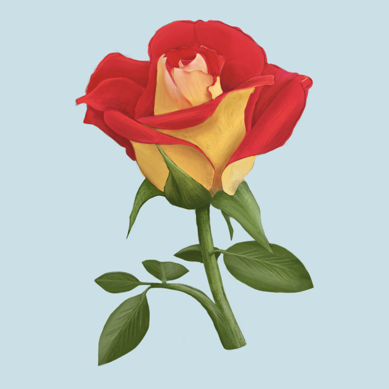 Ketchup And Mustard Rose Ladies Tee by LillyAllenDesigns | Teevron