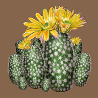 Texas Rainbow Cactus Premium Tee | Teevron