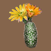 Texas Rainbow Cactus Premium Tee | Teevron