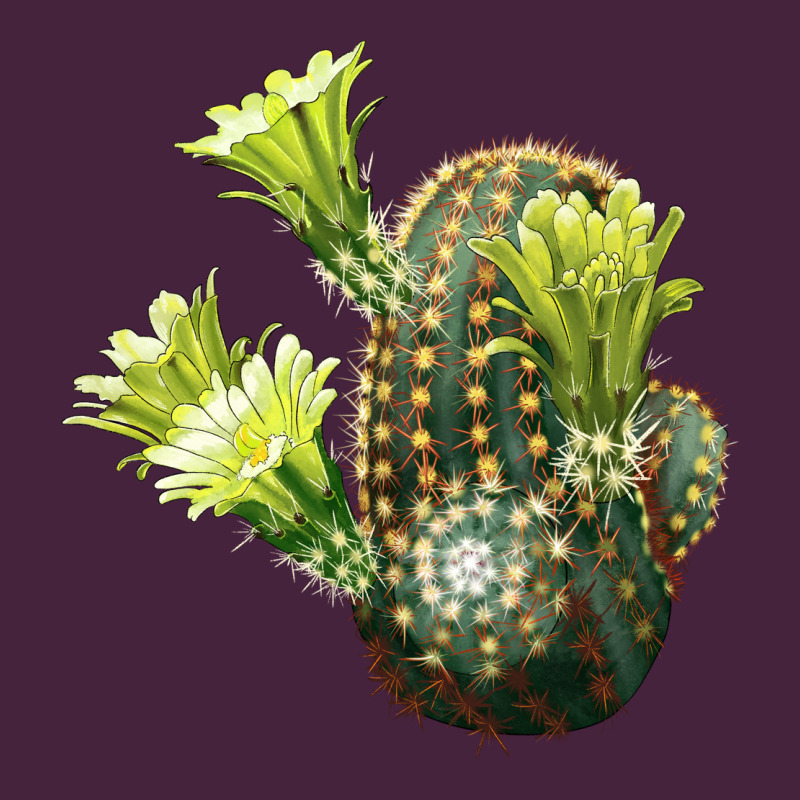 Nylon Hedgehog Cactus Premium Tee by LillyAllenDesigns | Teevron