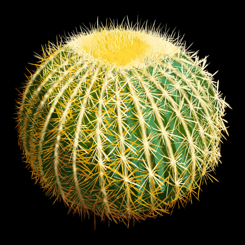 Golden Barrel Cactus Premium Tee by LillyAllenDesigns | Teevron