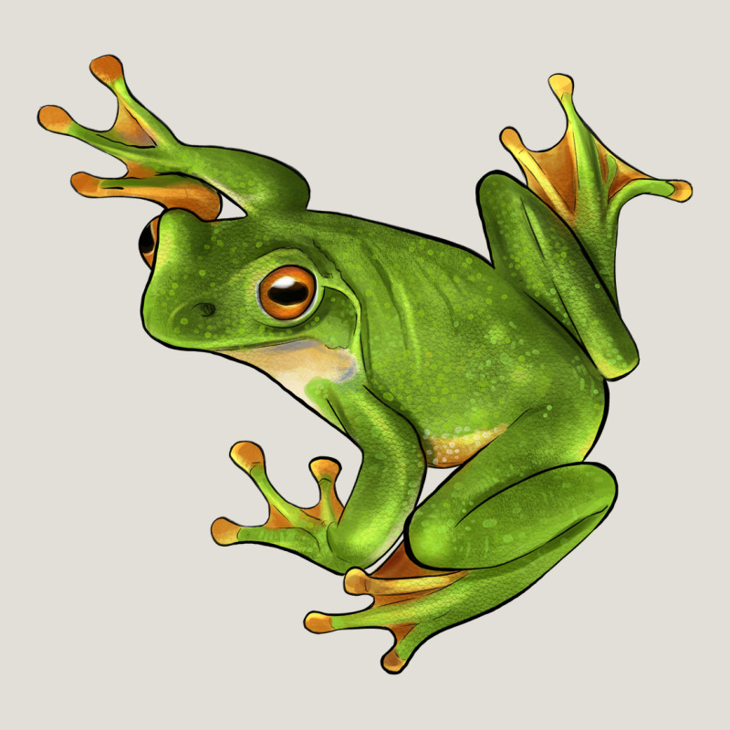White Lipped Tree Frog Illustrations Heavy Core Tee by LillyAllenDesigns | Teevron