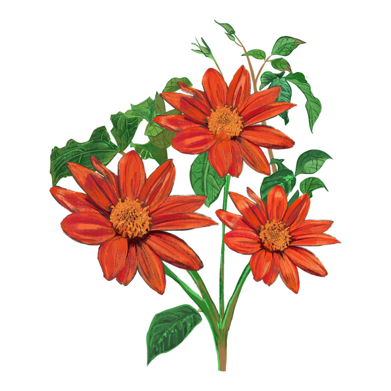 Tithonia Fiesta Del Sol Sunflower Premium Tee by LillyAllenDesigns | Teevron