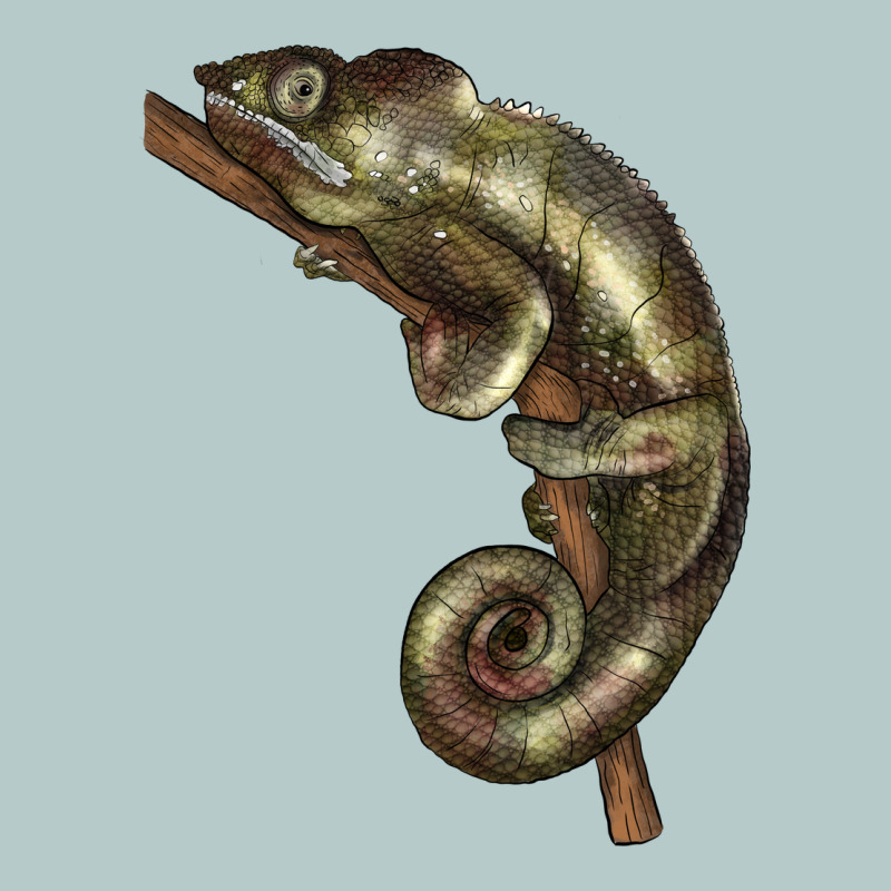 Green Chameleon Lizard Illustrations Heavy Core Tee by LillyAllenDesigns | Teevron