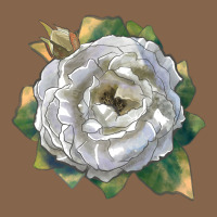 Pillow Fight Rose Premium Tee | Teevron