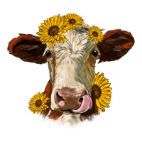 hereford cattle sunflowers heifer | Teevron