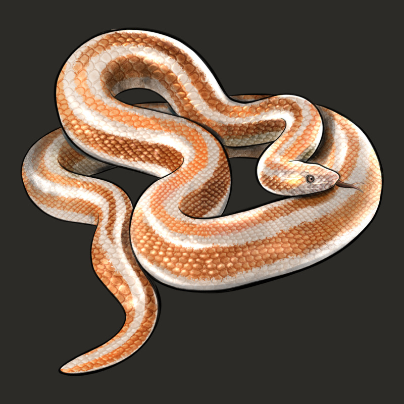 Rosy Boa Snake Illustrations Heavy Core Tee by LillyAllenDesigns | Teevron