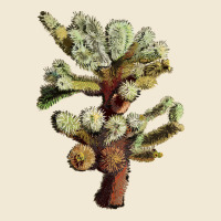 Cholla Tree Cactus Premium Tee | Teevron