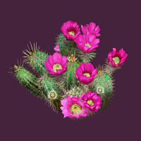 Strawberry Hedgehog Cactus Premium Tee | Teevron