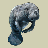 Manatee Illustrations Heavy Core Tee | Teevron