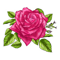 perfume delight rose | Teevron