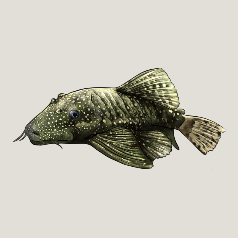 Bristlenose Placo Heavy Core Tee by LillyAllenDesigns | Teevron
