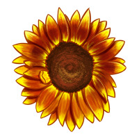 Tiger Eyes Sunflower Premium Tee | Teevron
