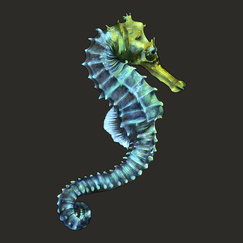 Blue Seahorse Heavy Core Tee by LillyAllenDesigns | Teevron