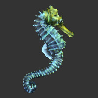 Blue Seahorse | Teevron