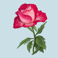 Love At First Sight Rose Ladies Tee | Teevron