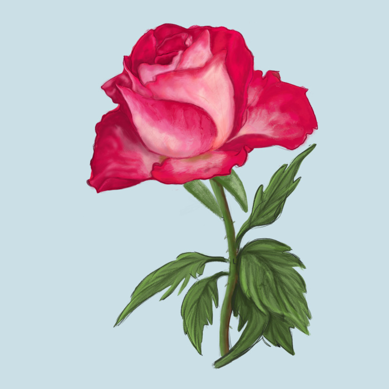 Love At First Sight Rose Ladies Tee by LillyAllenDesigns | Teevron
