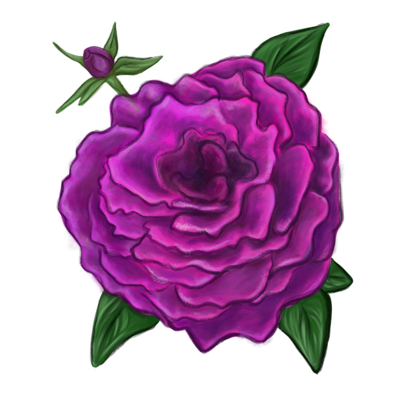 Celestial Rose Ladies Tee by LillyAllenDesigns | Teevron