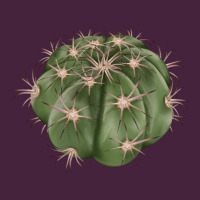 Eagle Claws Cactus Premium Tee | Teevron