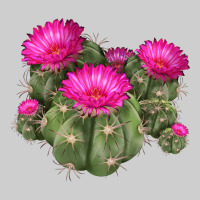 Eagle Claws Cacti Premium Tee | Teevron