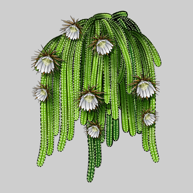 Selenicereus Cactus Premium Tee by LillyAllenDesigns | Teevron