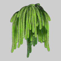 Selenicereus Cactus Premium Tee | Teevron