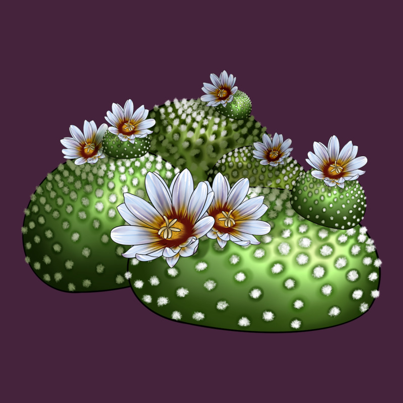 Blossfeldia Cactus Premium Tee by LillyAllenDesigns | Teevron