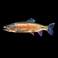 Rainbow Trout Heavy Core Tee | Teevron